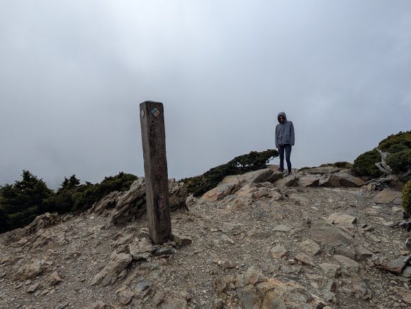 合歡驚魂記2987962