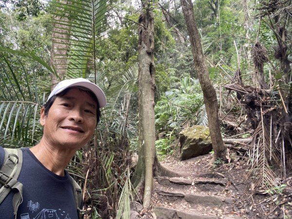 《雪山坑登山步道｜巨人之手森林秘境 Xueshankeng Hiking Trail & Giant2971060