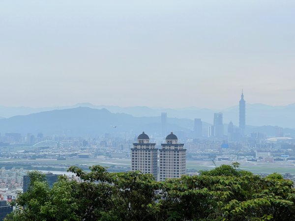 20230514-臺北大縱走第五段之巧遇藍鵲（碧山巖→劍潭捷運站）2150886