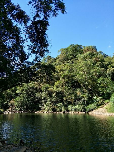 烏山古道、灣潭古道、北勢溪古道O型連走318364