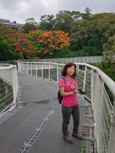 20190519 八卦山天空步道597524