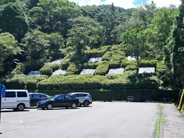 桃園小百岳東眼山(H1212m)2844619