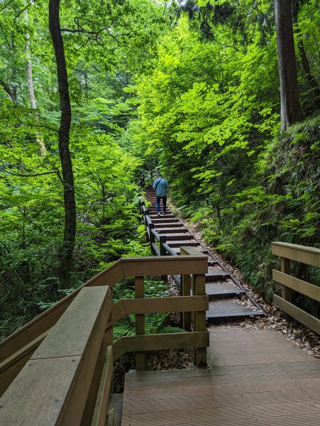 2023-06-14 十二湖（日本）2793214