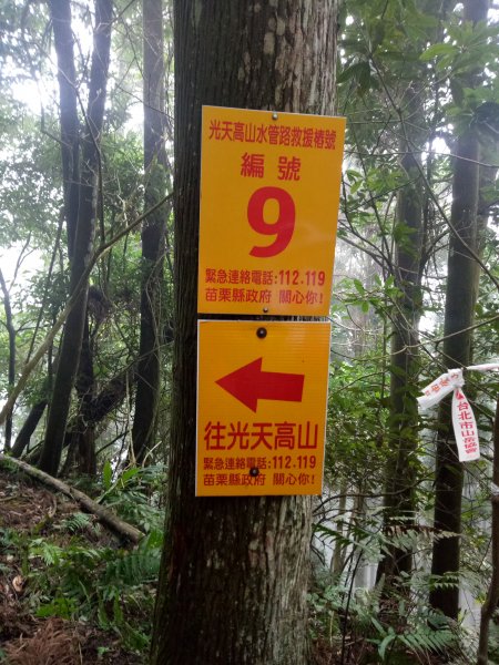 三角湖山向天湖山光天高山O形1911616