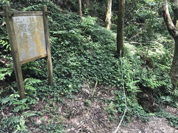 新店獅仔頭山126098