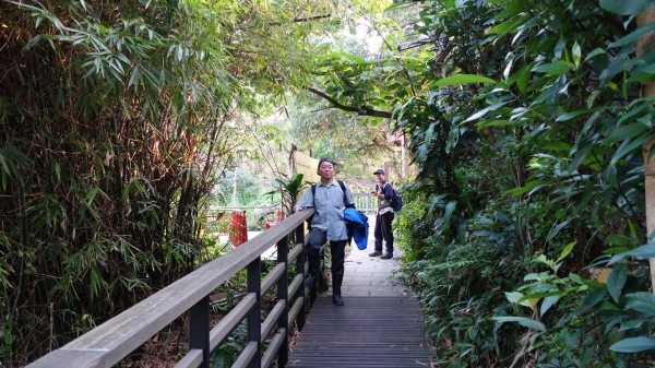 五指山系縱走-劍潭山縱走五指山下聖人橋27181