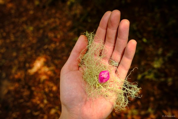 孟春．一個人的武陵(Day1雨日)封面