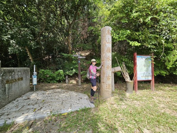 231014-烏山嶺水利古道(西東口縱走)，美美兔沒跟上父八田與一的腳步2317460