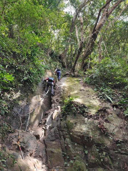 五寮尖登山步道 - (新北)臺灣百大必訪步道2312564