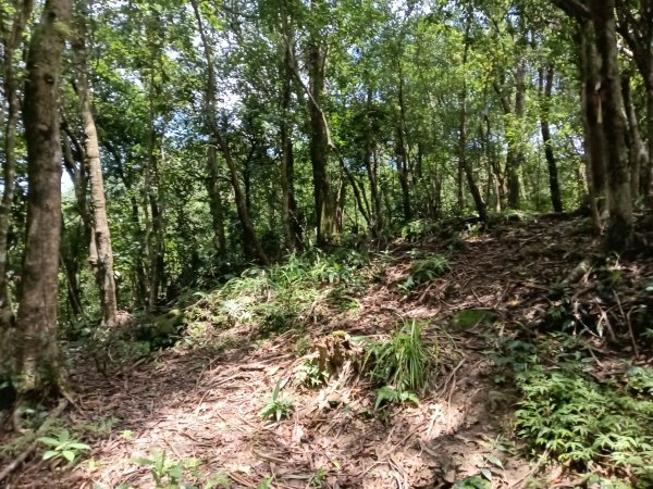 平溪區平溪子山遇雷雨O型2850124