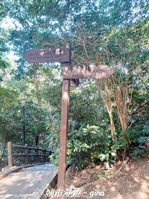 【新竹東區】十八尖山x十八尖山東峰x石家魚丸x東門倆冰糖葫蘆x城隍廟鄭家蛋糕2984208