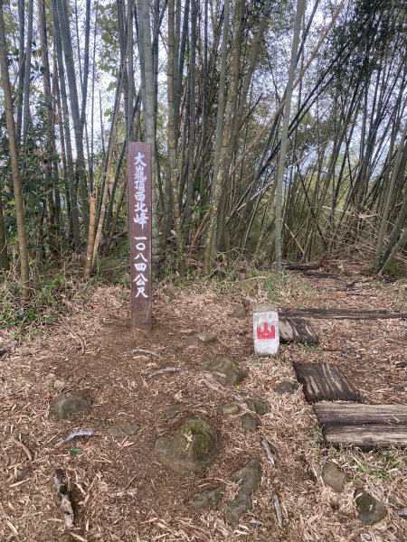 20250201孝子路步道、大巃頂2716424