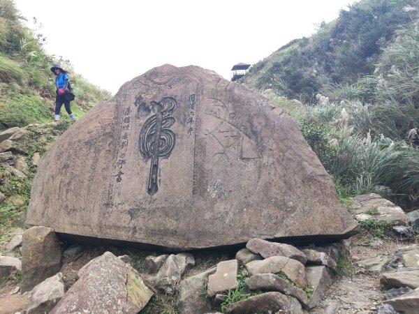 草嶺古道茫草祭2936606