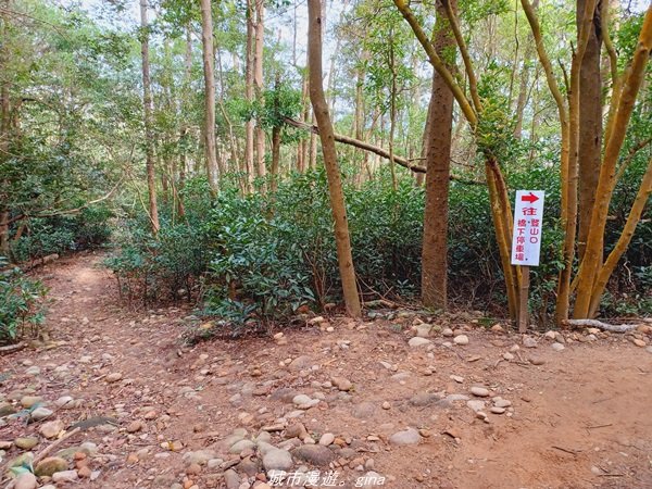 【苗栗。 三義】台灣百大必訪步道。 編號38小百岳-火炎山步道1572299