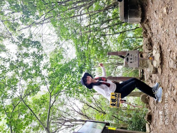 桃園小百岳東眼山(H1212m)2844632