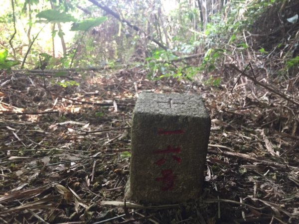 霧峰3山老二：萬斗六山＋象鼻橋控制點426842