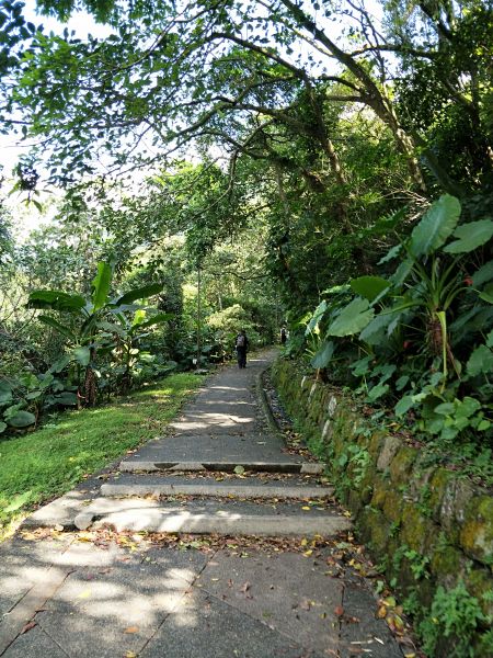 五峰旗瀑布步道353319