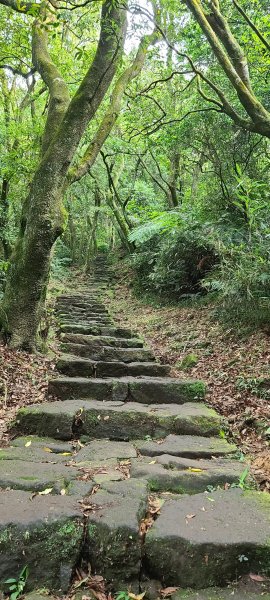 七星山苗圃七星公園1066523