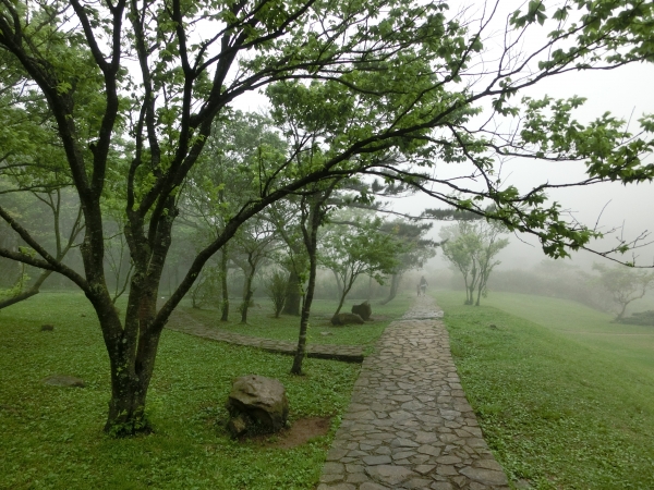 二子坪．大屯自然公園93810
