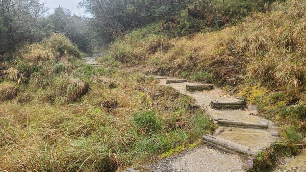 2025-0222 翠峰湖環山步道2718631