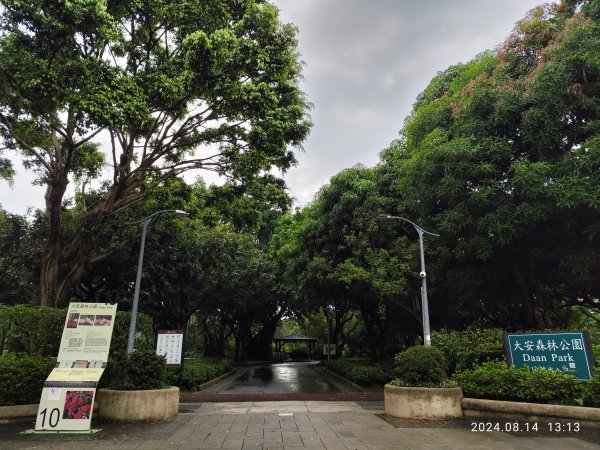 大安森林公園、瑞陽公園、大港墘公園、宏匯瑞光廣場【走路趣尋寶】【臺北健走趣】2574710