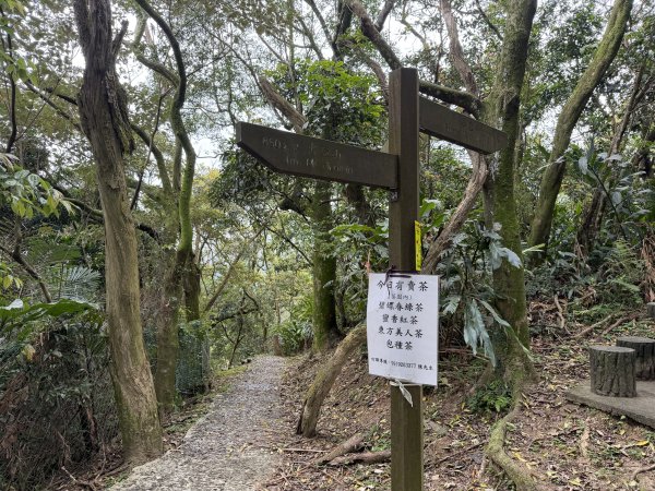 [微笑山線_第四段] 2026_0321 天上山系_石門內尖山東峰3021305