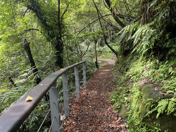 [微笑山線_第十二段] 2025_0803 五分山系_望古瀑布2851549