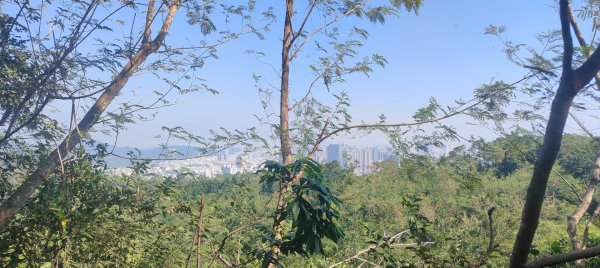 高雄壽山、半屏山2943047