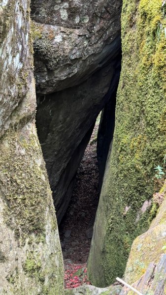 加里山 2025 12/282971699