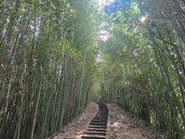 鐘樓古道、獅潭觀魚步道3127297