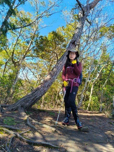 高島縱走202502152713776