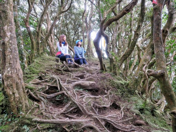 東眼山 拉卡山 卡外山 O形環走1630306