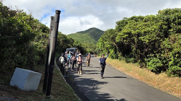 夏季的黃金十稜接九稜下門牙稜C型(草長路荒慎行)2880675