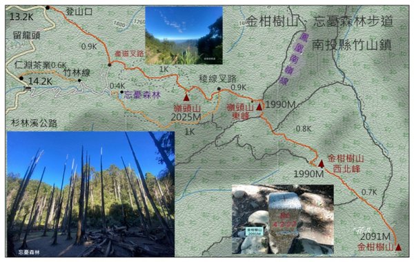 嶺頭山、金柑樹山、忘憂森林 O型一圈2944634