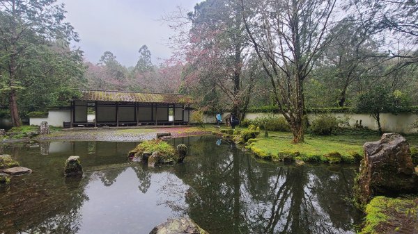 2025-0221 明池步道2718254