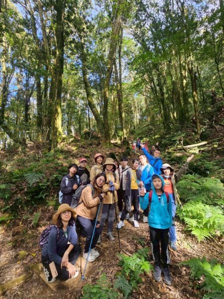 1141122特富野古道2945773