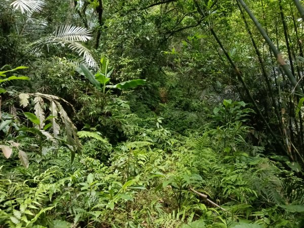 雙溪區柑腳城威惠廟+柑腳城山(下坑山)去回2796655