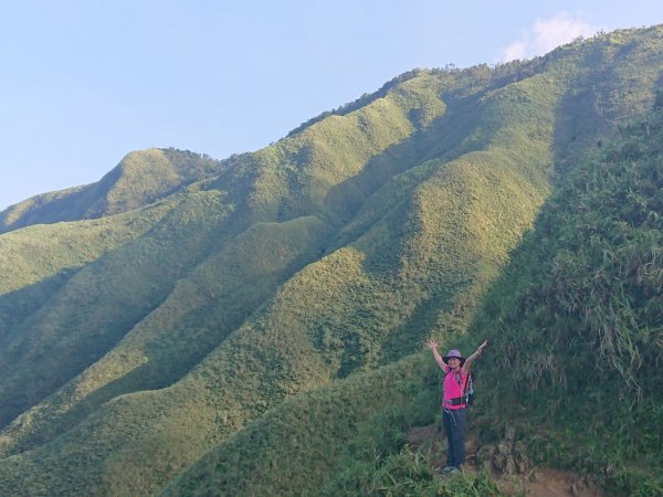 去了還想再去的抹茶山（聖母山莊）1029591