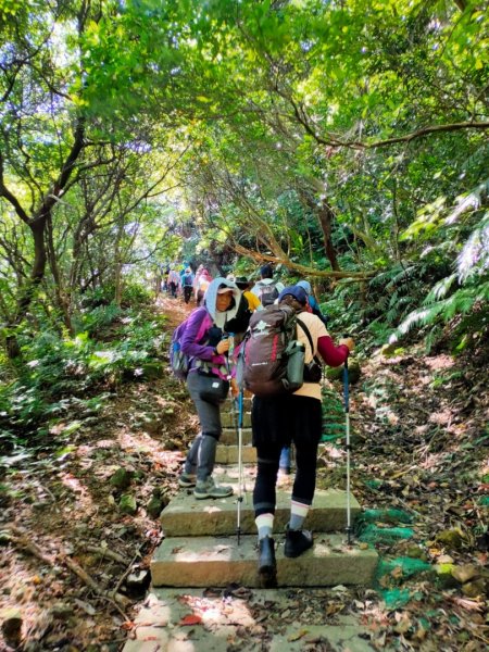 ［瑞芳四秀］ （龍潭山,瑞芳山，秀崎山，白象山）  （2023/11/5）2342422