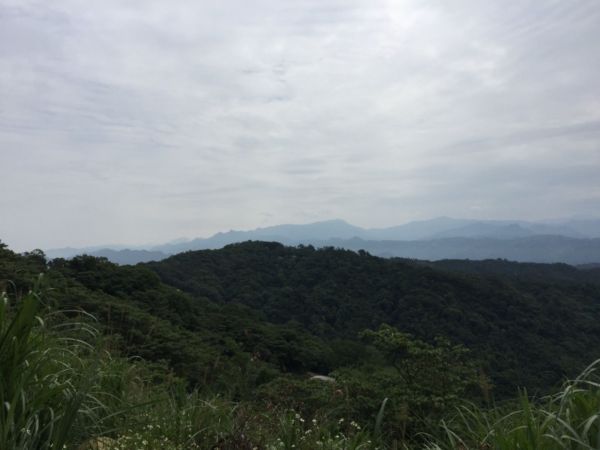 飛鳳山-中坑山-牛欄窩山-石壁潭山325990