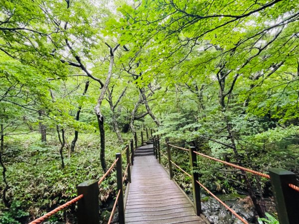 1140811 KR 漢拏山杜鵑花田避難所-紗羅岳觀景臺2860454