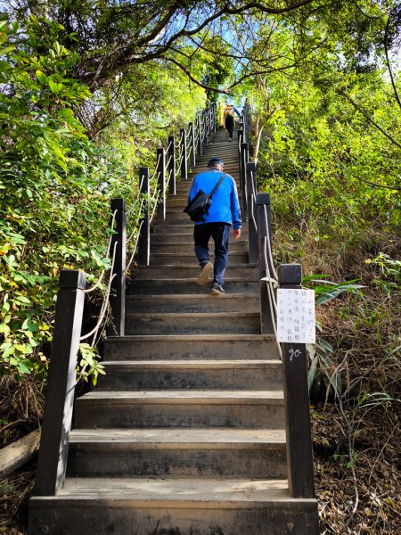 2025-12-14 大肚萬里長城步道、環保公園步道、旗開得勝步道2968973