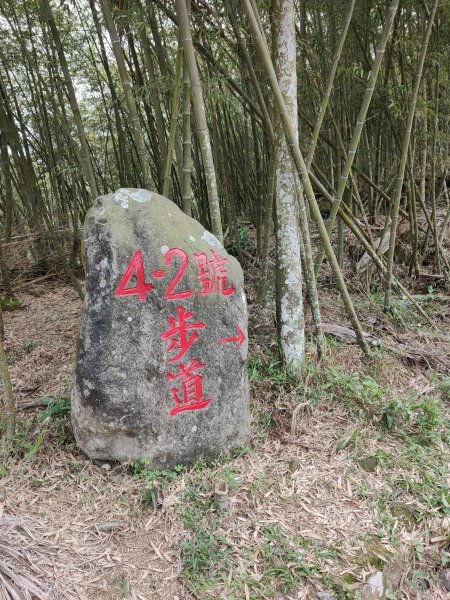 雲嘉大尖山、二尖山步道913675