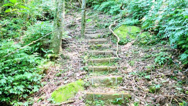 磐石嶺,鳥嘴尖,姜子寮山,姜子寮絕壁2863521