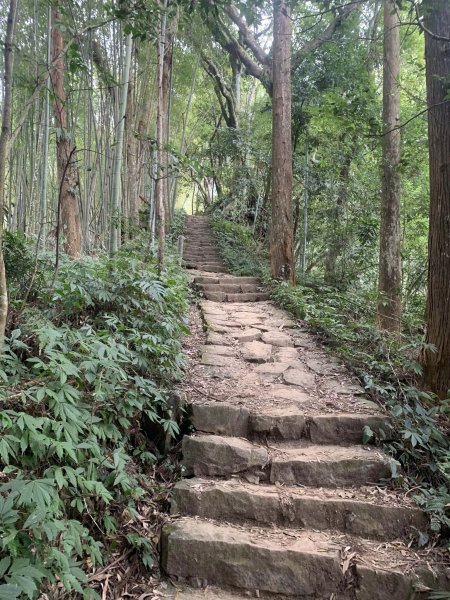 南投鹿谷鳳凰山（小百岳）2007037