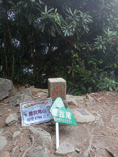 【谷關七熊,山林美境尋寶趣】屋我尾山步道1108310