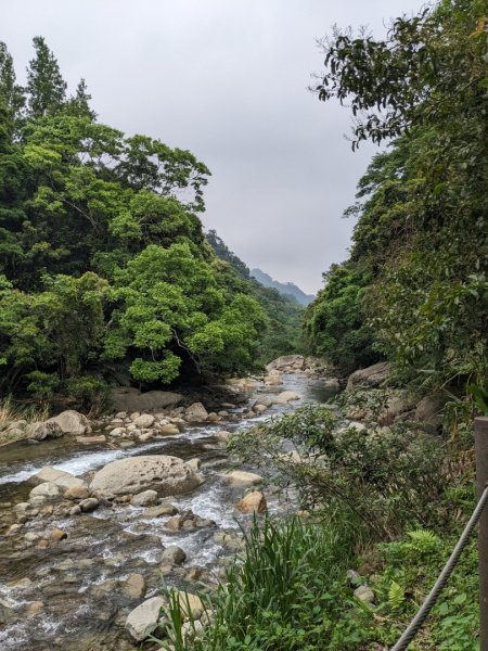 蓬萊溪護魚步道3047357