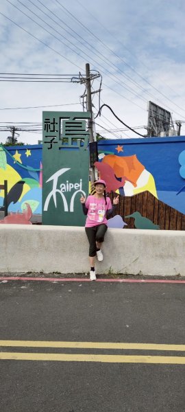 台北大縱走第八段2781282