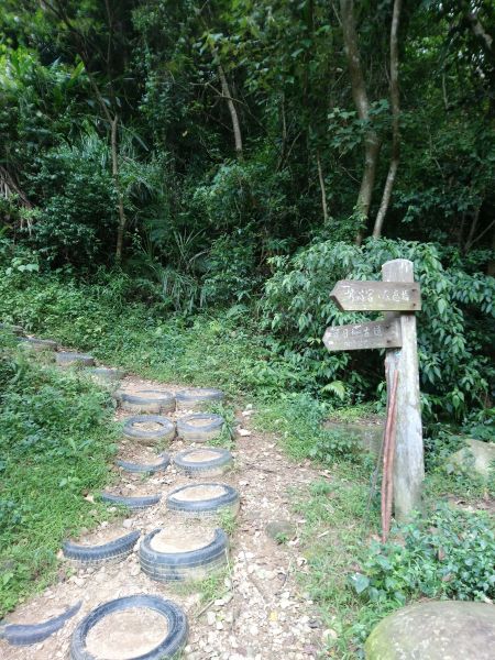 飛鳳山觀日坪古道404111