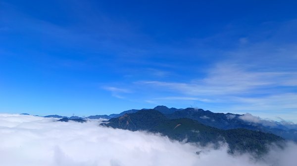 鳶嘴山美呆了~滿滿的雲海~1884290